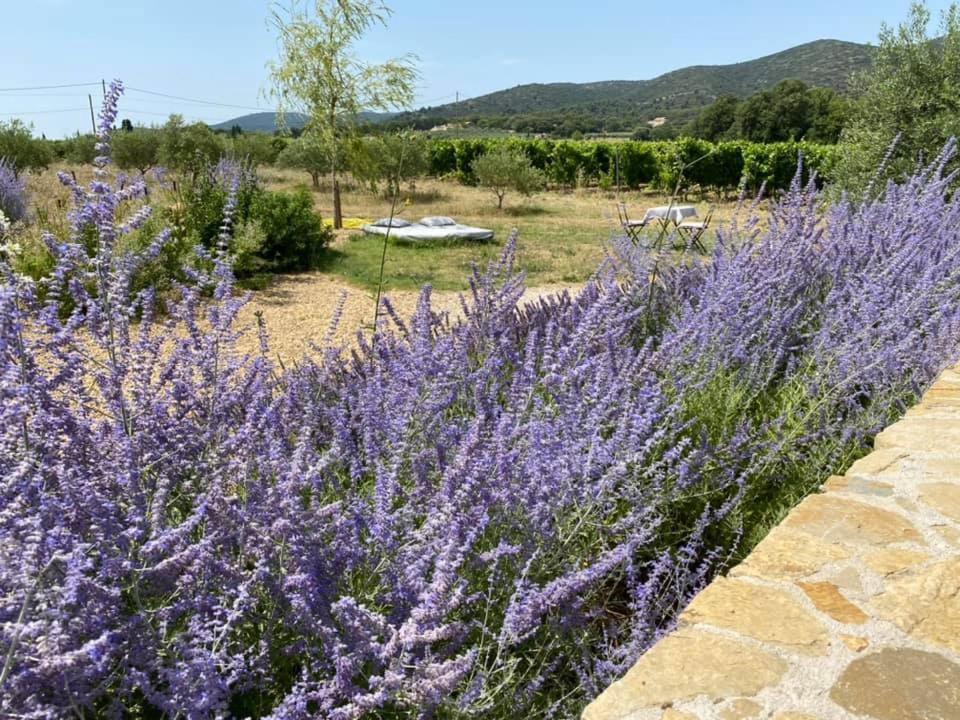 Maison D'Hotes Bastide St Victor A 2,5 Kilometres De Lourmarin Puyvert Exteriör bild