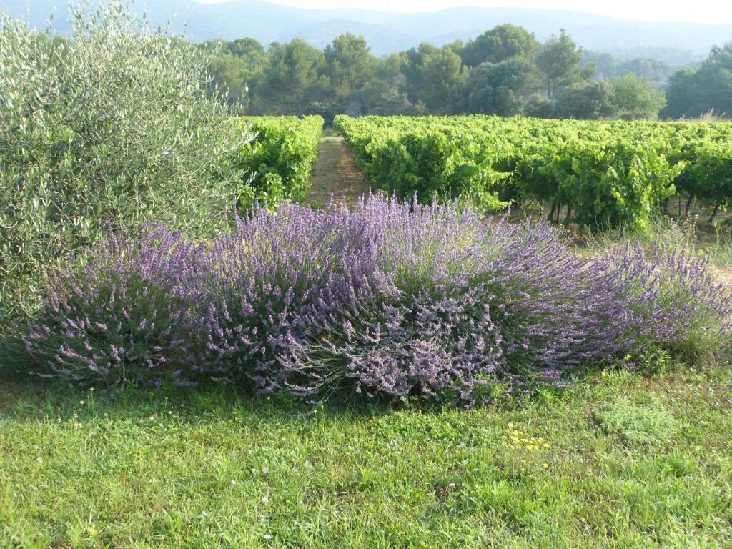 Maison D'Hotes Bastide St Victor A 2,5 Kilometres De Lourmarin Puyvert Exteriör bild